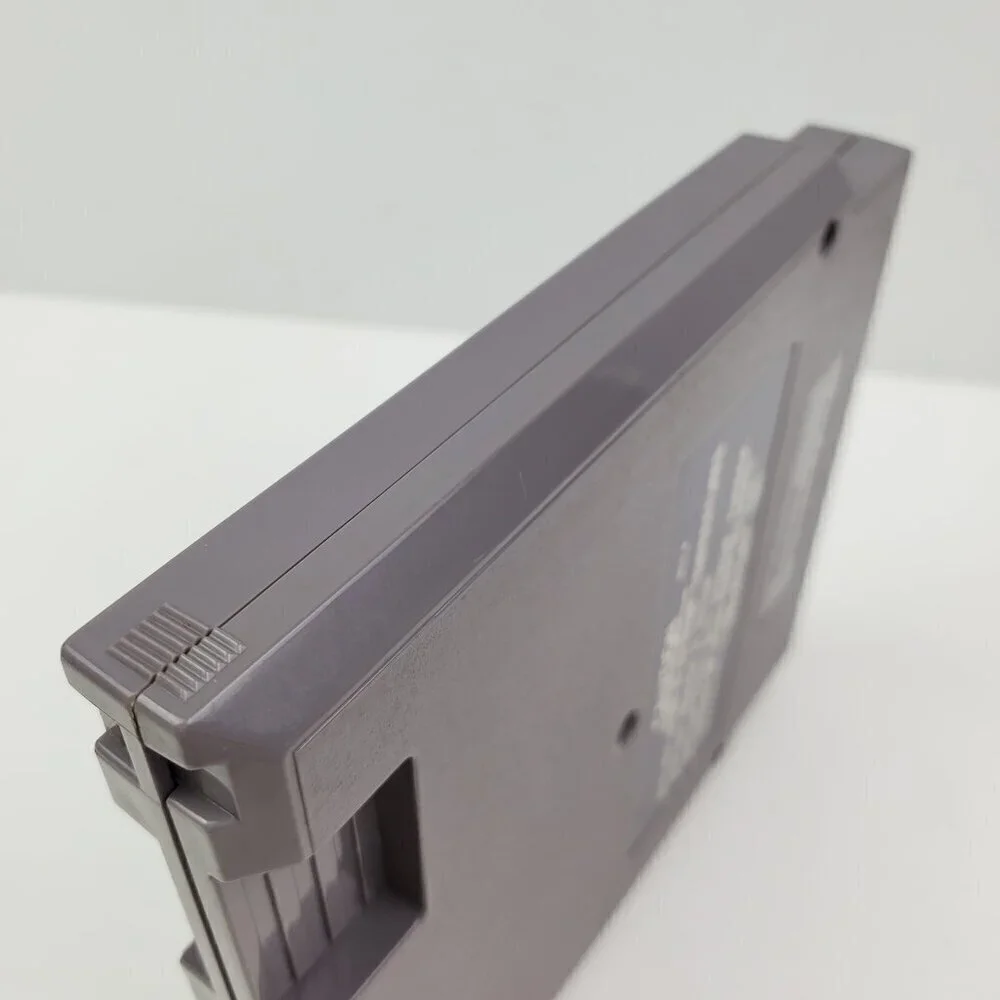Nintendo throughout remained extensively